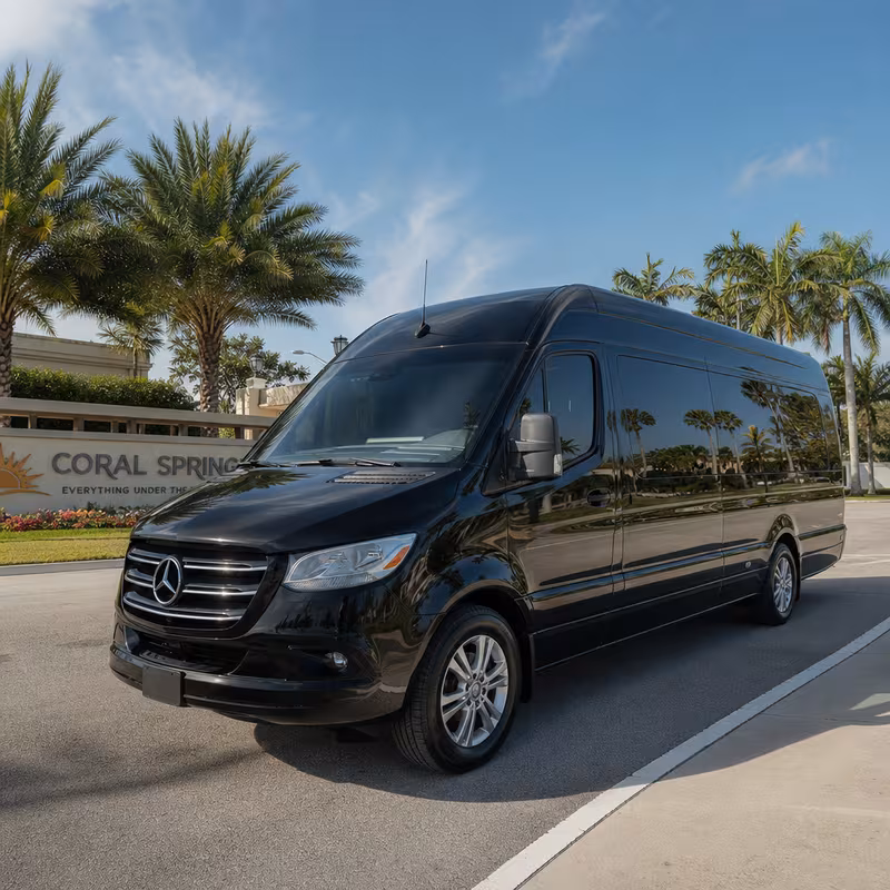 14 Passenger Sprinter Limo